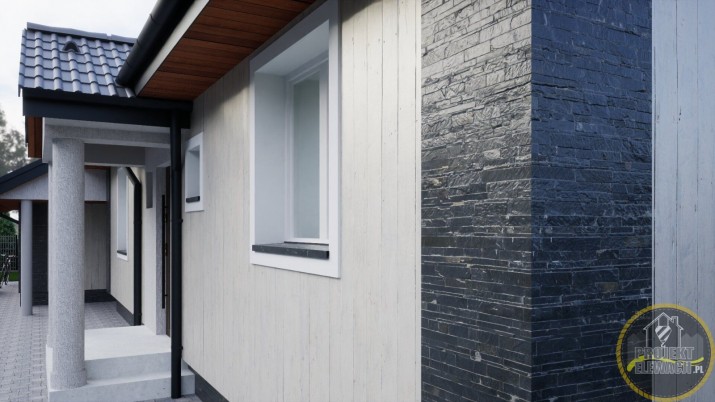 projekty elewacji domu jednorodzinnego